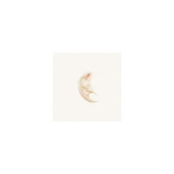 Cecilia Holistic Beauty Ageless Crema Ricca Idratante e Anti-età 50ml