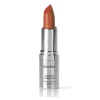 Dolomia Rossetto Shine Colore Puro Brillante 10 Silene per Labbra Brillanti e Idratate Stick 3,5 ml