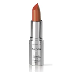 Dolomia Rossetto Shine Colore Puro Brillante 10 Silene per Labbra Brillanti e Idratate Stick 3,5 ml