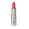 Dolomia Rossetto Shine Colore Puro Brillante 11 Achillea per Labbra Brillanti e Idratate Stick 3,5 g