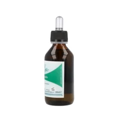 Effegilab Olio di Canapa per Corpo e Capelli 100 ml