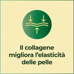 Filumè Siero Concentrato Acido Ialuronico e Collagene 10ml