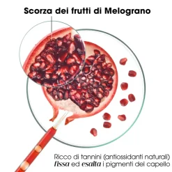 Klorane Shampoo al Melograno per Capelli Colorati 200ml