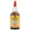 Olio ayurvedico equilibrante per rilassamento e benessere 30ml