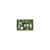 Raemil Achillea Olio per Benessere della Pelle 100 ml