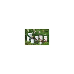 Raemil Achillea Olio per Benessere della Pelle 100 ml