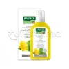 Rausch Lozione Antiforfora alla Tussilaggine 200ml