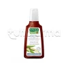 Rausch Shampoo Speciale alla Corteccia di Salice Antiforfora Grassa 200ml