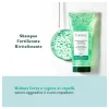 Rene Furterer Forticea Shampoo Stimolante anticaduta per capelli forti 200ml