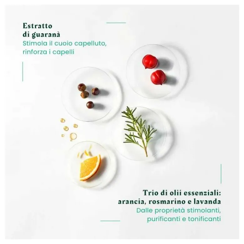 Rene Furterer Forticea Shampoo Stimolante anticaduta per capelli forti 200ml